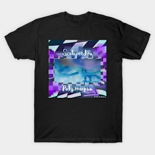 Centipede “Vaporwave” (With Scientific Name) T-Shirt